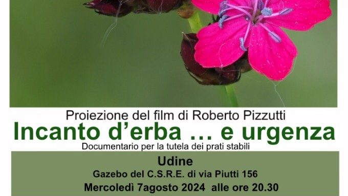 locandina_Udine insieme con noi