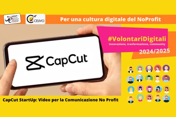 celivo_volodigitali