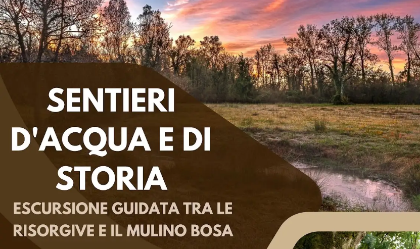 Immagine 2025-10-29 133440